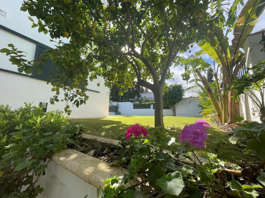 Sunset Villa Arcos อาร์กอส เดลา ฟรอนเตรา ภายนอก รูปภาพ